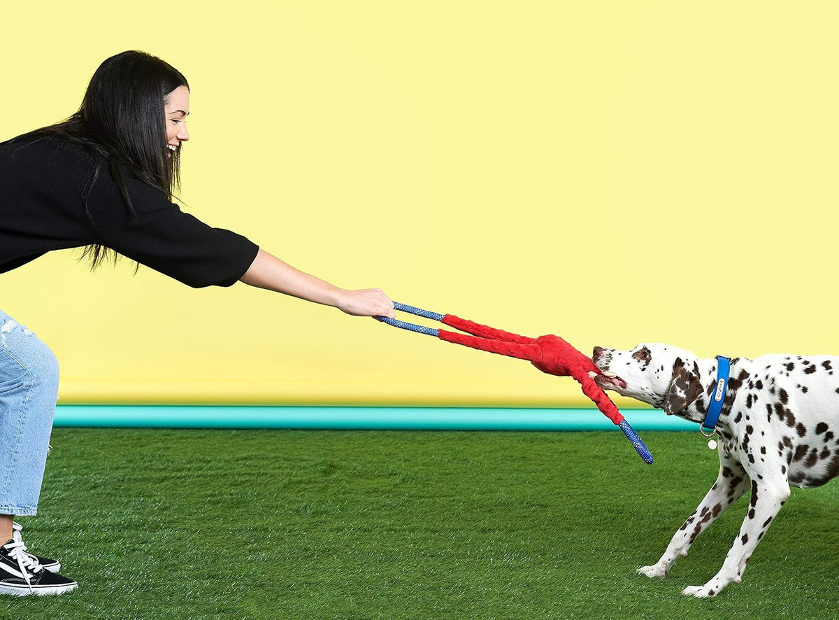 RopeTugz Durable Dog Pull Rope Toy - Blue Monkey