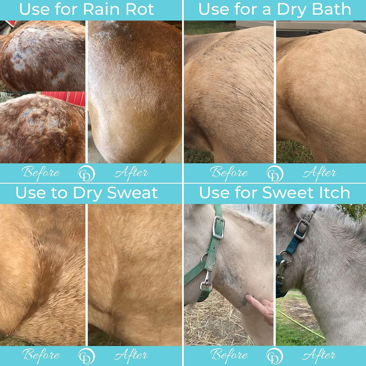 Daily Preventative Powder & Rain Rot Treatment for Horses | Safe & Effective Equine Sweet Itch, Skin Funk, Scratches