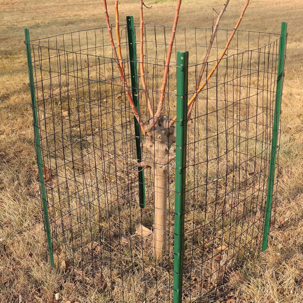 Black PVC Coated Welded Wire Fence 48" x 50' Roll, 2"x3" Mesh, 16 Gauge