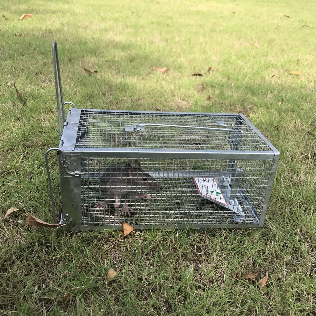 Humane Rat Trap, Small Mouse Traps 10.5" L x 5.5" W x 4.5" H | Chipmunk Rodent Trap, Indoor and Outdoor, Mouse Voles