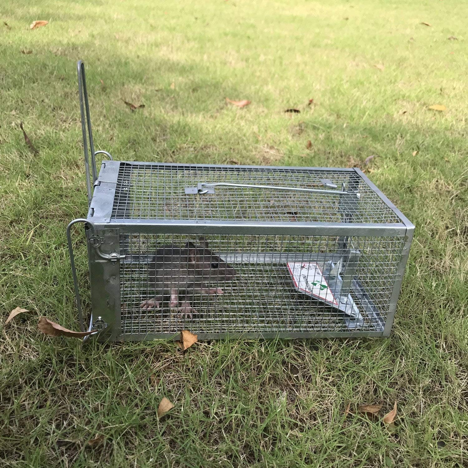 Humane Rat Trap, Small Mouse Traps 10.5" L x 5.5" W x 4.5" H | Chipmunk Rodent Trap, Indoor and Outdoor, Mouse Voles