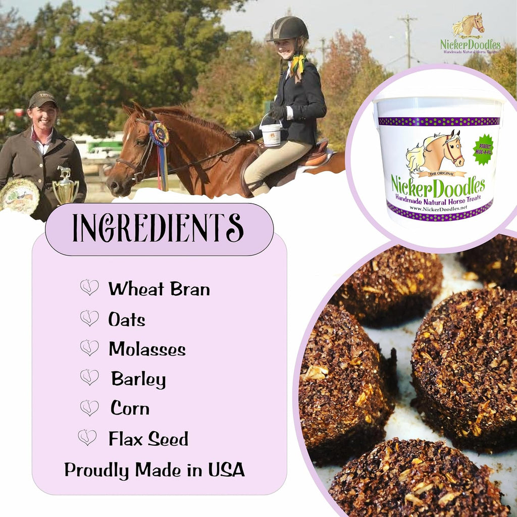 Horse Treats - 1 lb Pail - Effortlessly Give Medications with Our Soft Baked Treats - Training Treats are The Perfect