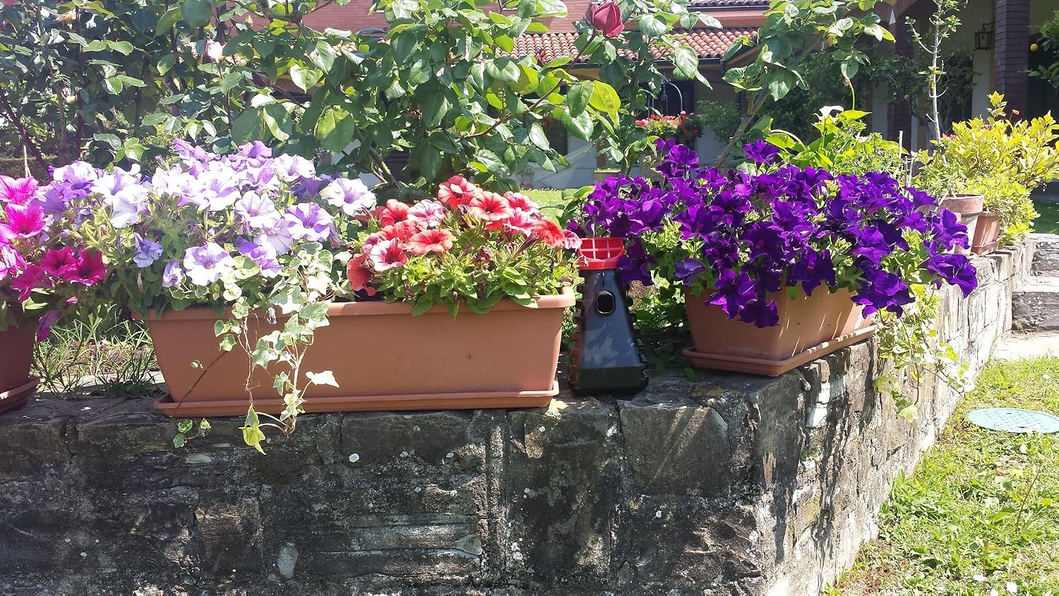 Mosquito Trap and Outdoor Bug Killer for Outdoors, 2 Pack | Water-Activated Larvae Control for Home Backyard, Patio &