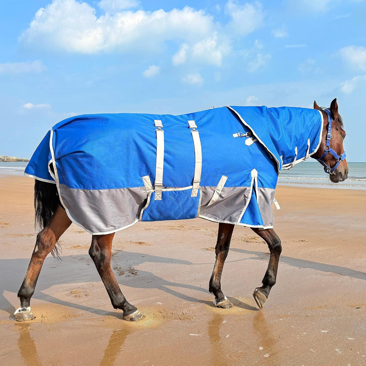 1200D Turnout Horse Blanket with Hood & Band, Medium Weight, Blue/Grey,78IN