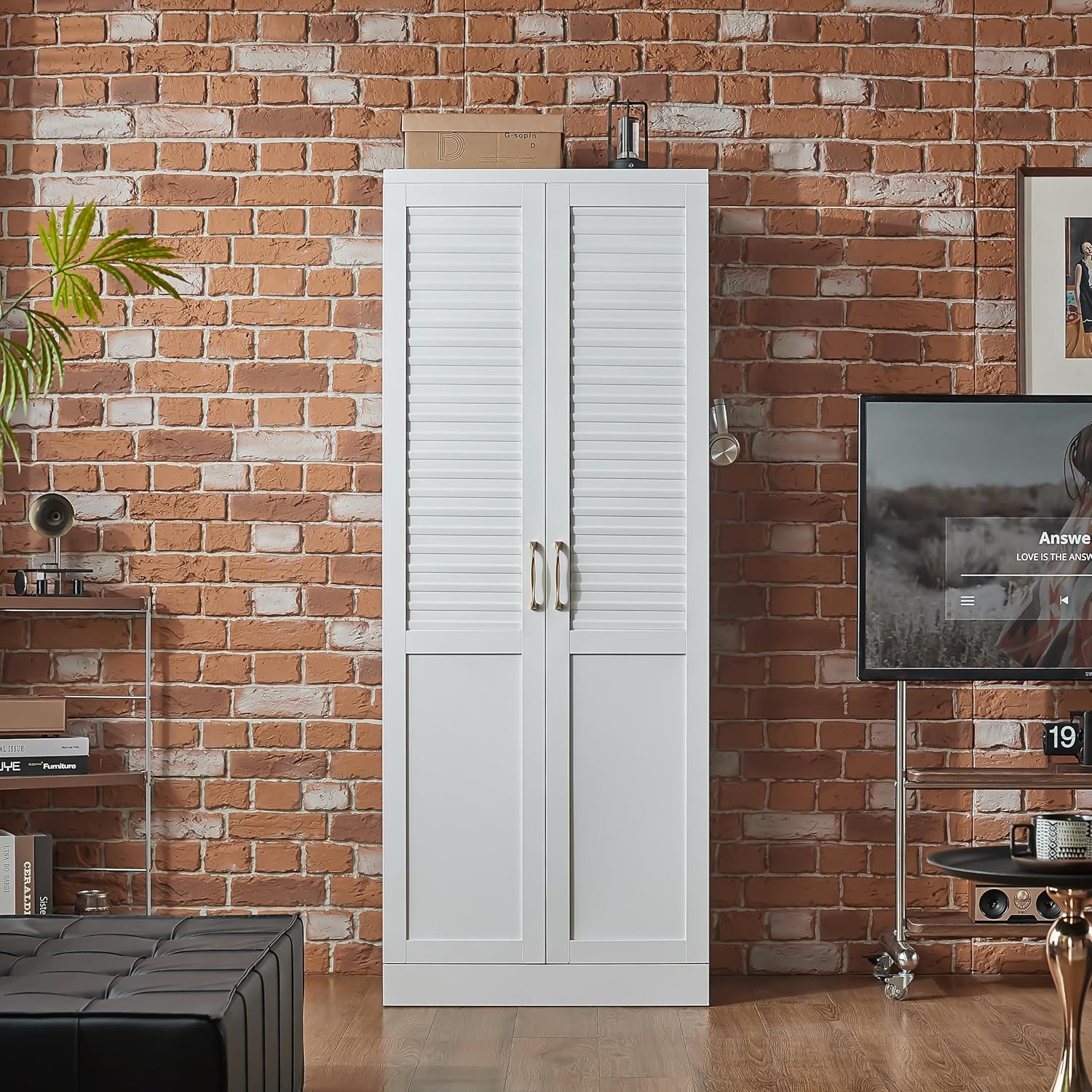 Metal Pantry Cabinet with 4 Adjustable Shelves for Kitchen Storage | Seamless One-Piece Louver Door with