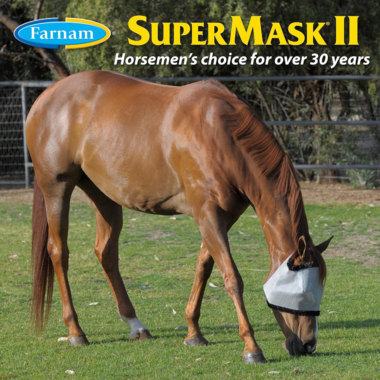 SuperMask II Shimmer Weave Mesh Horse Fly Mask Without Ears, Eye Protection from Insect Pests, Soft Silver Mesh with