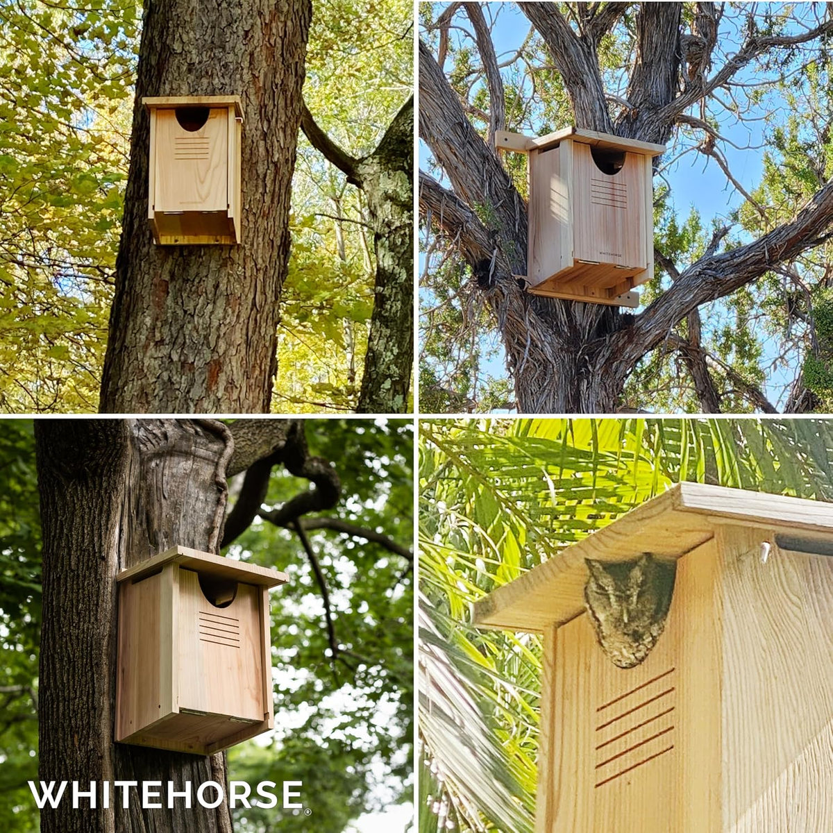 Large Cedar Owl House - Premium and Weatherproof Design - 16" x 12" x 11" - A Nesting Box for Screech Owls, Boreal