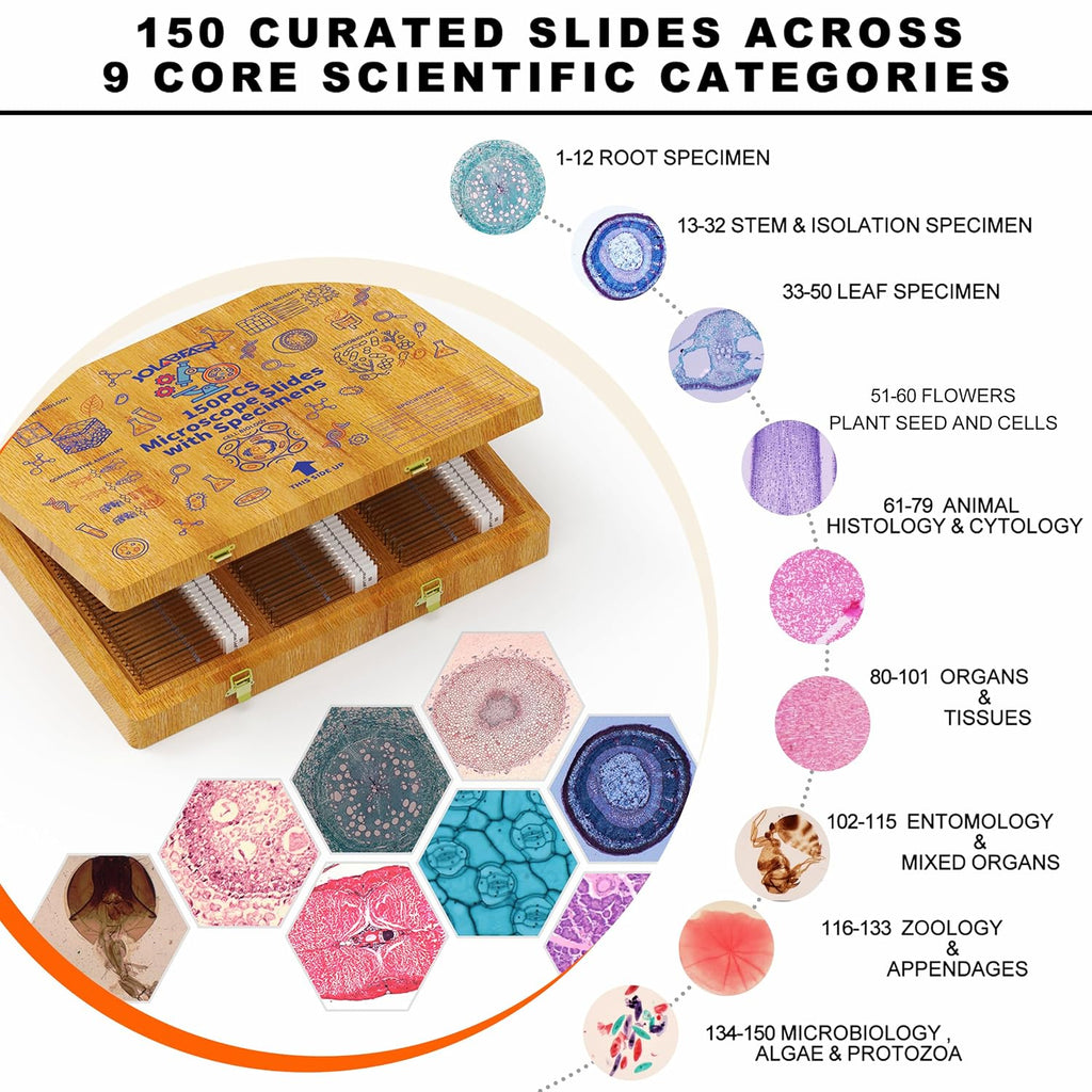 150 Prepared Microscope Slides with Wooden Case and Study Guide | Plant, insect and animal specimens, polished glass