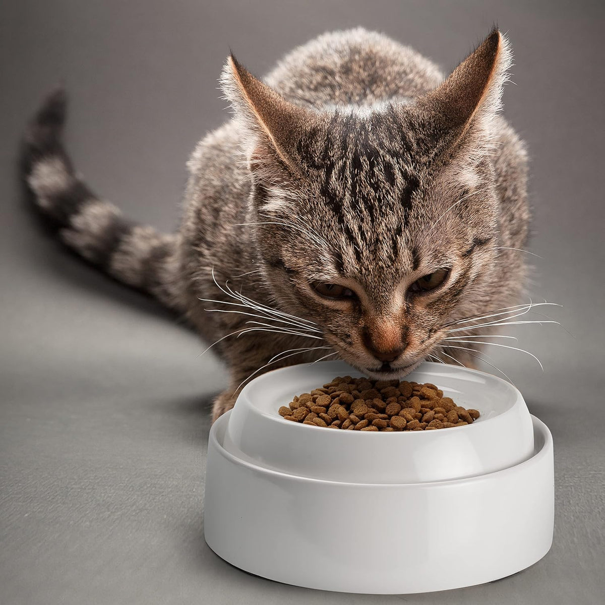 Cat Bowls, Whisker Friendly Food Bowl for Indoor Cats, Reliefs Whisker Fatigue, Wide Kitten Dish, Non Slip Pet