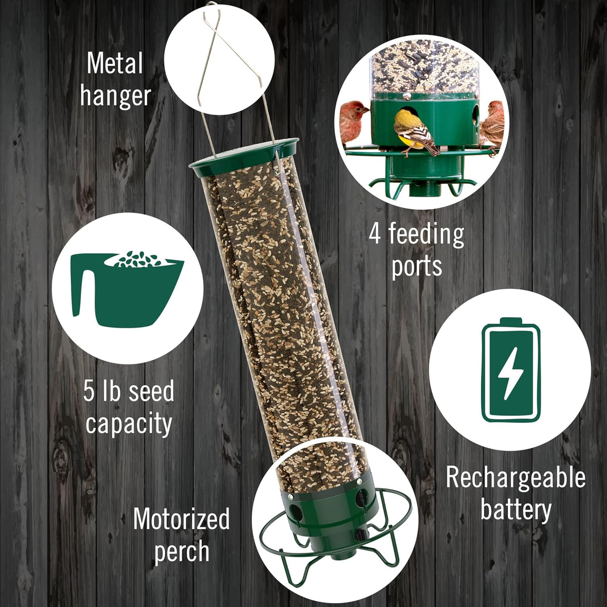 Squirrel Proof Bird Feeder for Outdoors, 5 lb Seed Capacity