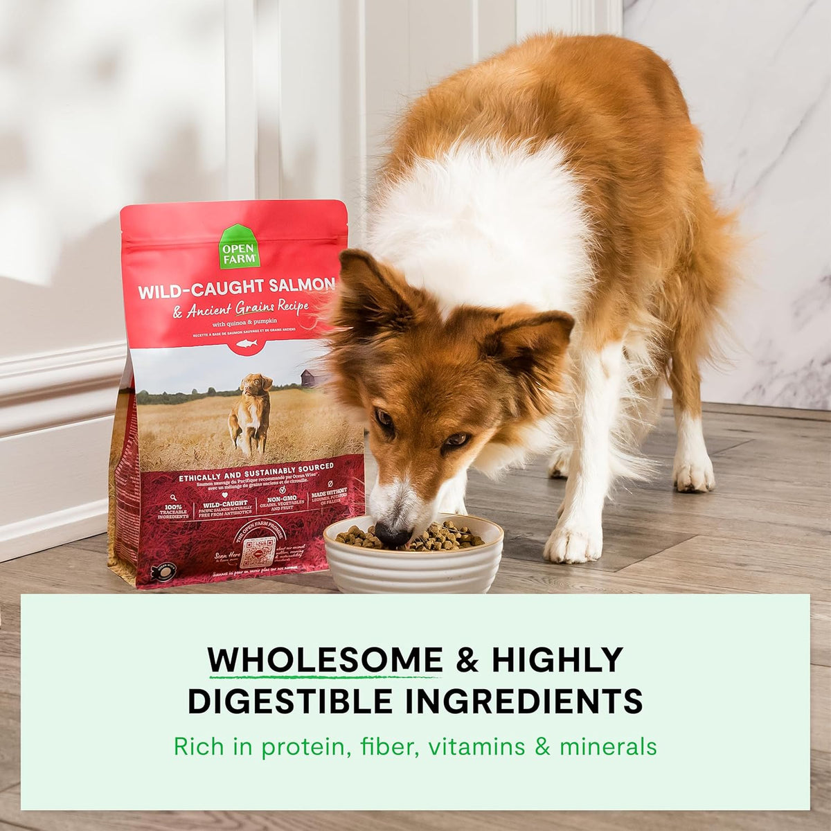 Ancient Grains Dry Dog Food, Grass-Fed Beef Kibble, 4lb Bag