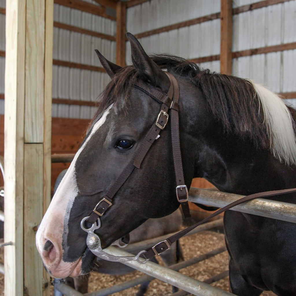 Horse Headstall with Reins, Nylon Padded Browband, Multiple Colors (Black, Full)