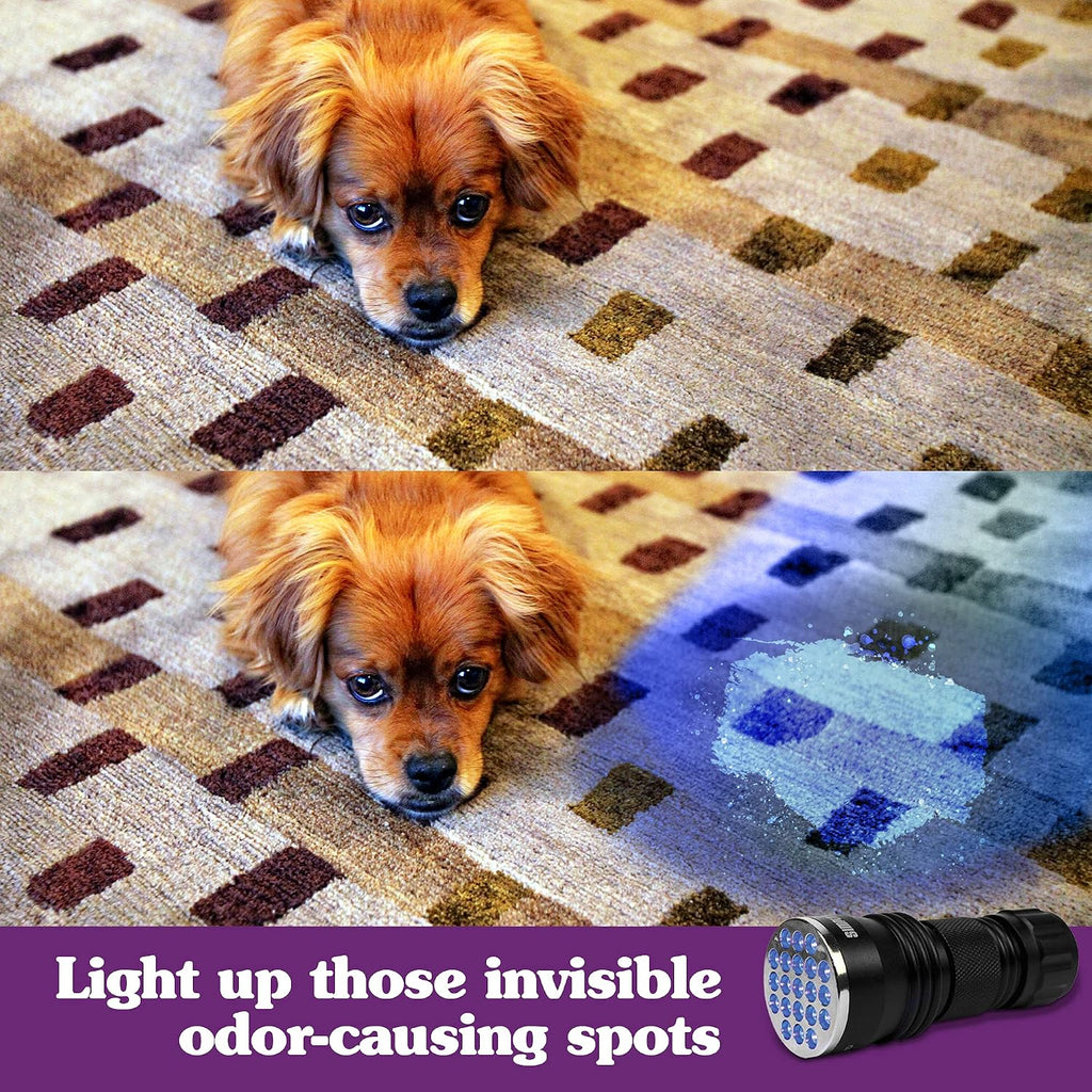 UV Urine Detector, Pet Stain Blacklight, 1 Count