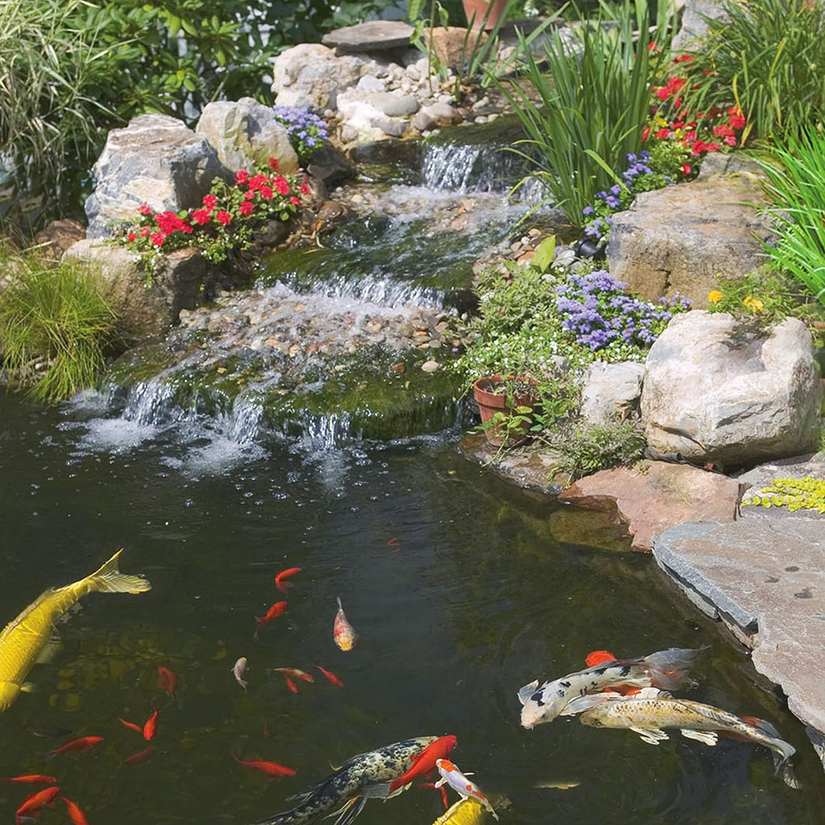 Pond Koi Vibrance Soft Sticks, Floating Pond Fish Food, 1.43 lbs