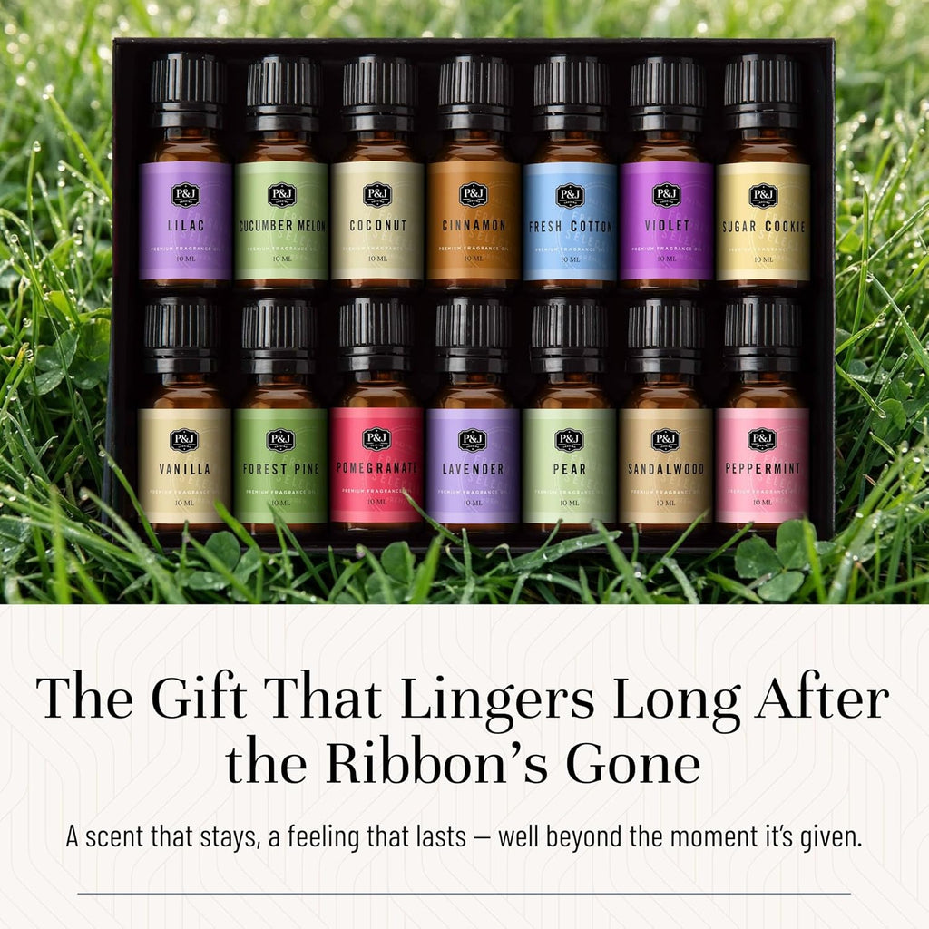 Fragrance Oil Favorite Set | Candle Scents for Candle Making, Freshie Scents, Soap Making Supplies, Diffuser Oil Scents