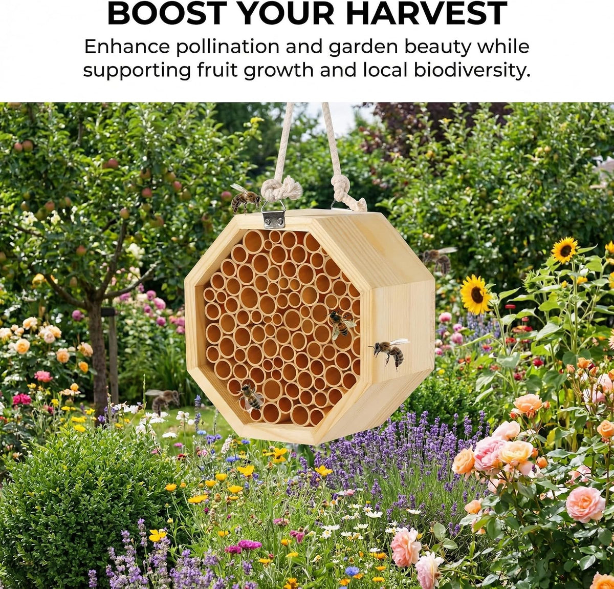 Mason Bee House - Handcrafted Natural Wooden Bee Hotel with Waterproof Wax Coating - Attracts Peaceful Pollinators