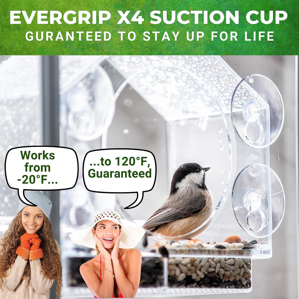 Window Bird Feeder with Strong Suction Cups, Bird Feeders for Outdoors