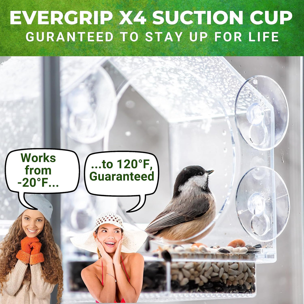 Window Bird Feeder with Strong Suction Cups, Bird Feeders for Outdoors