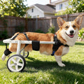 Dog Wheelchair for Back Leg Dog, 16–21L 7–11H,Rear Legs Support