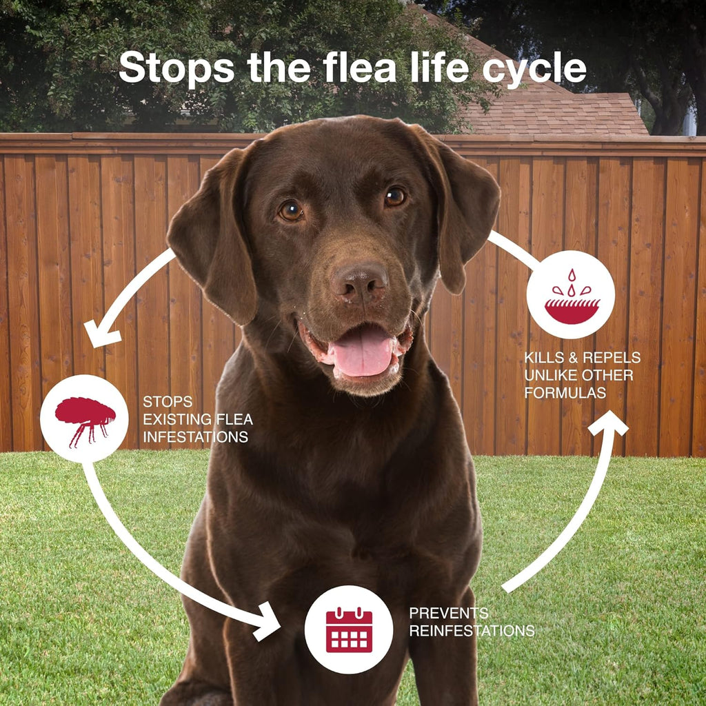 II Flea & Tick Topical for Large Dogs 21–55 lbs., 4ct