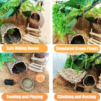 20-Piece Bearded Dragon Tank Accessories Set