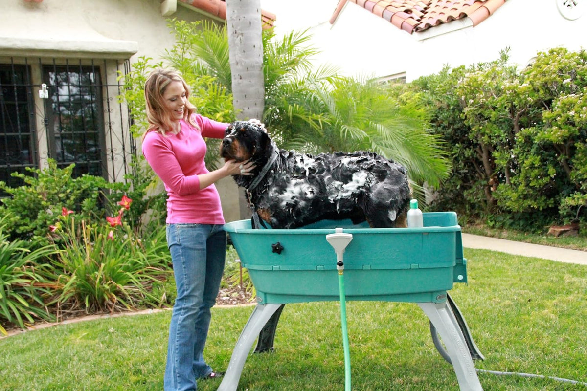 Elevated Pet Bathing, Teal, Large (Pack of 1)
