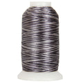 Multicolor Machine Embroidery Thread, 1000M 40wt, Stormy