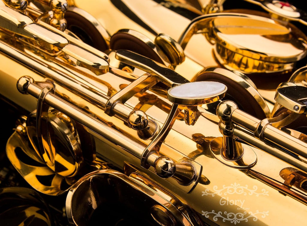 Gold Laquer E Flat Alto Saxophone with 11reeds,8 Pads cushions,case,carekit