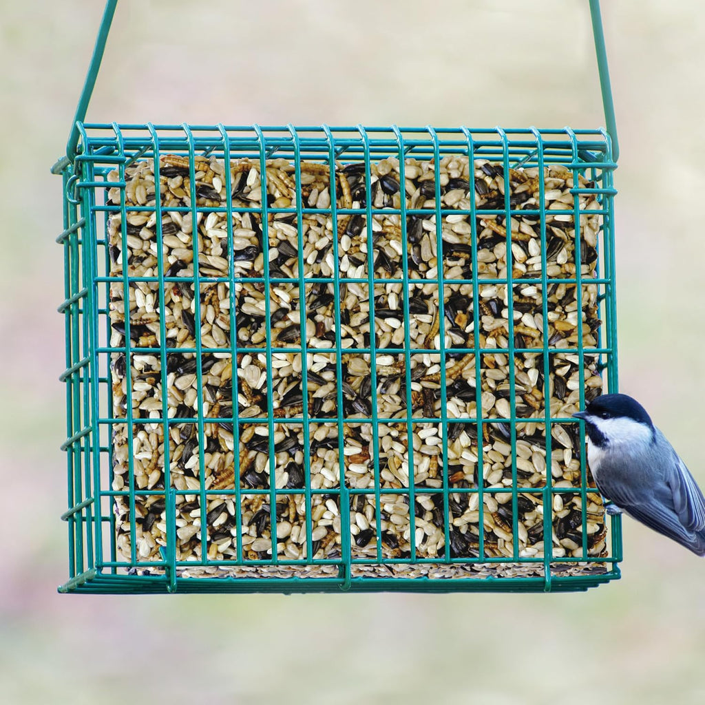 Wild Bird Seed & Mealworm Seed Cake Food For Bluebirds, Chickadees, Woodpeckers and More, 1.4 Pound