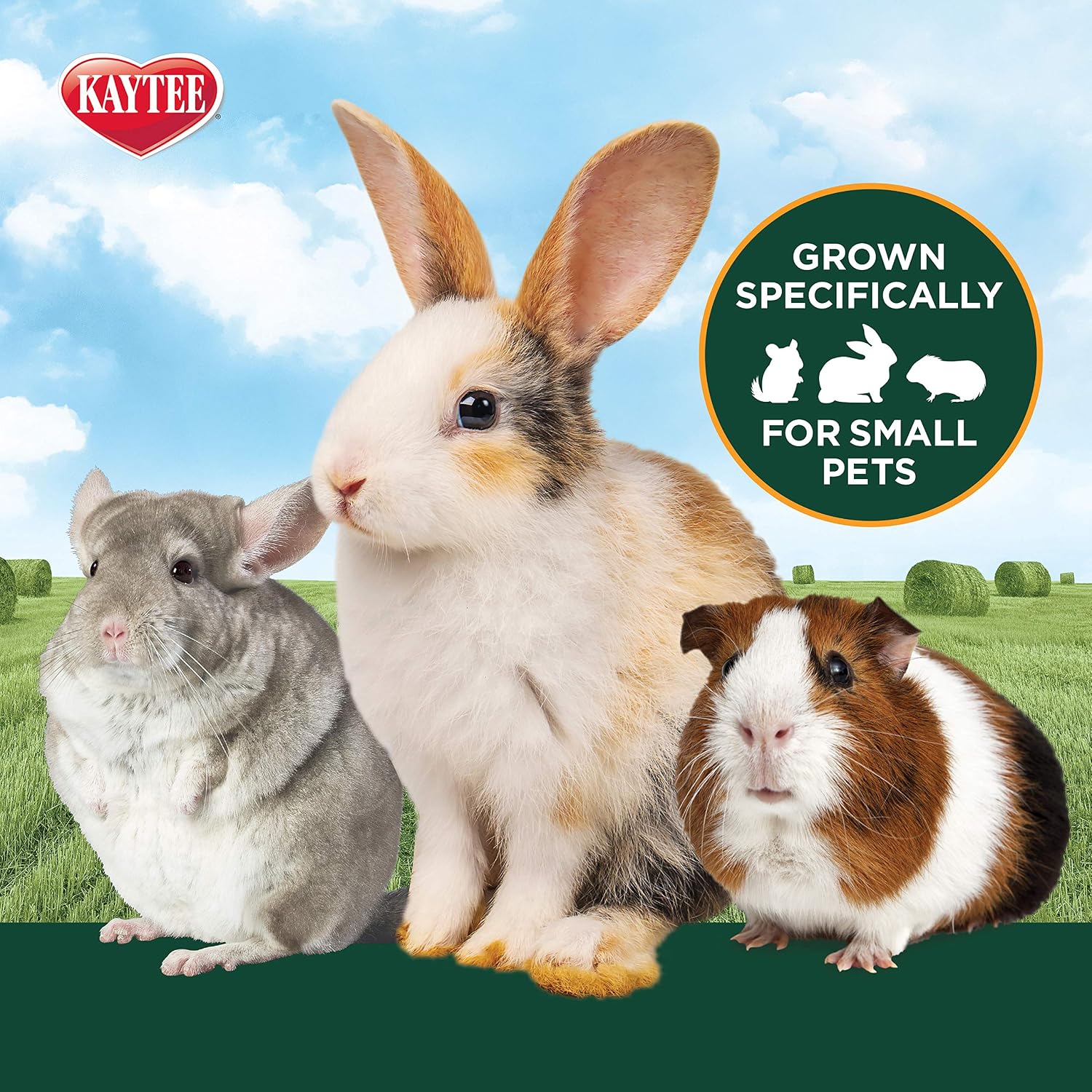 Timothy Hay & Orchard Grass for Guinea Pigs, Rabbits & Other Small Animals, 48 oz