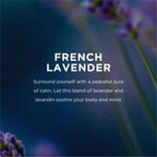 French Lavender Body Wash, Aromatherapy Shower Gel, 16 oz 2-Pack