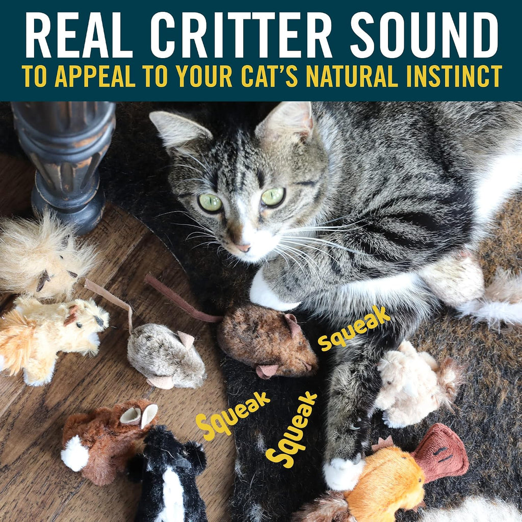 OurPets Play-N-Squeak Mouse Hunter Cat Toys (Interactive Cat Toy & Catnip Toy with Real Mouse Electronic Sound)