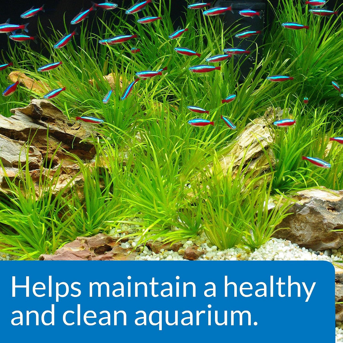 AQUARIUM START UP PACK Water Conditioner 1.25-Ounce Bottle 2-Pack