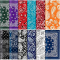 24 Pcs 6 x 6 Inch Glasses Cleaning Cloth,Mandala | Elegant Flowers Design, Mandala Multicolor Microfiber Lens Wipe