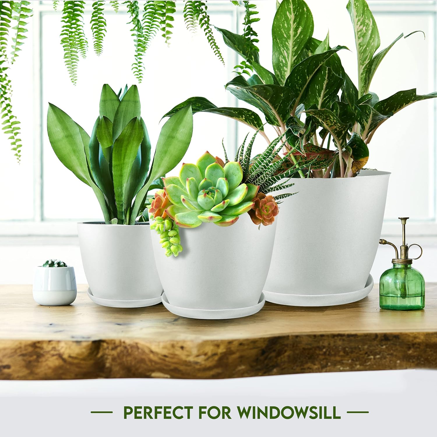Plant Pots Indoor with Drainage Holes – Set of 5 White Plastic Flower Pots (7/6.6/6/5.3/4.8 Inch) – Modern Planters