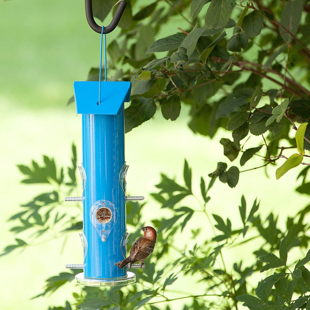 Blue Metal Tube Wild Bird Feeder - 1 lb Capacity for Wild Bird Seed - Durable Construction - 391