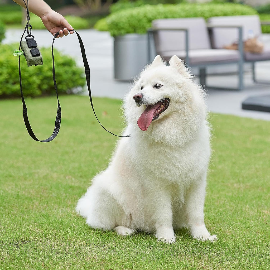 [2 Pack] 6ft Reflective Dog Leash, Heavy Duty Nylon Walking Training Leash with Accessory D-Ring for Small Medium