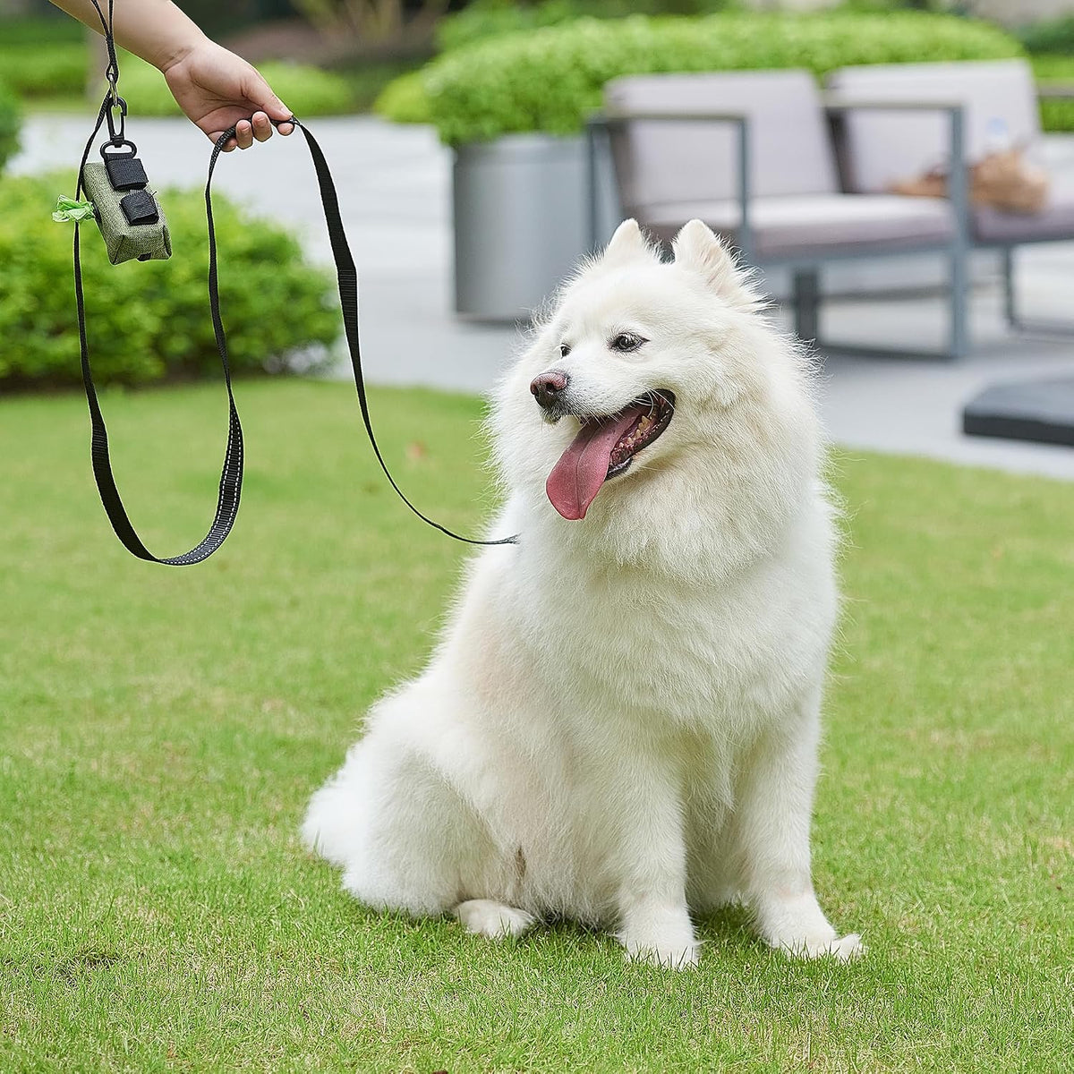[2 Pack] 6ft Reflective Dog Leash, Heavy Duty Nylon Walking Training Leash with Accessory D-Ring for Small Medium