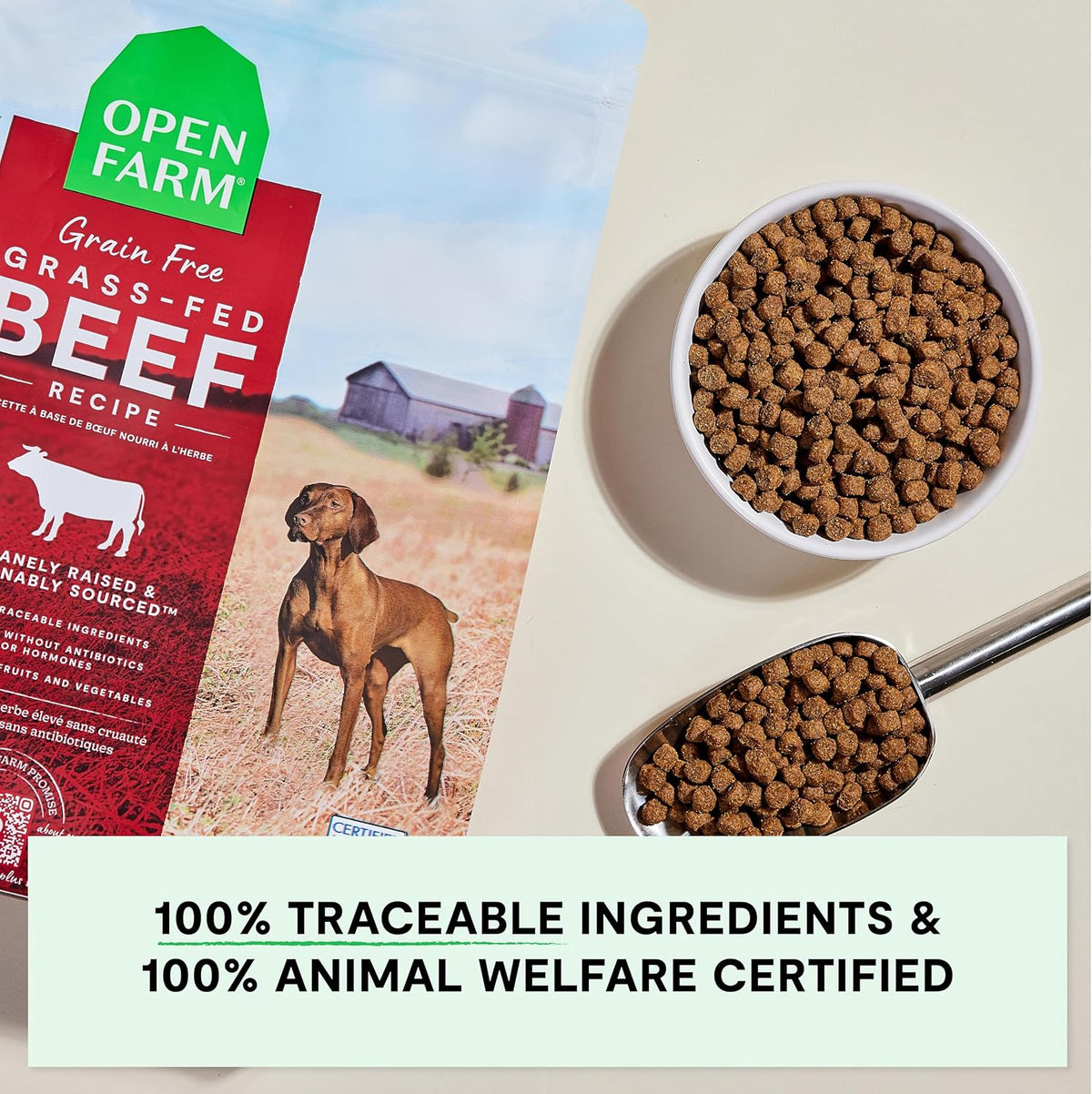 Grain Free Dry Dog Food, Grass-Fed Beef Kibble, 4lb Bag