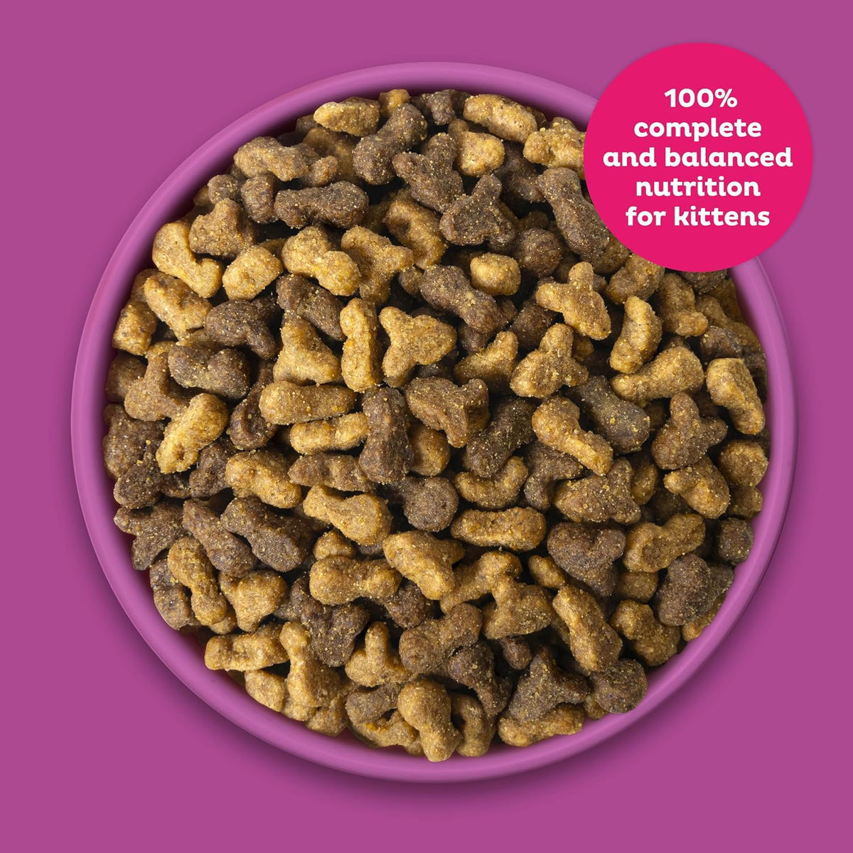 Kitten Essentials Chicken & Ocean Fish Dry Cat Food, 2.5 lb Bag