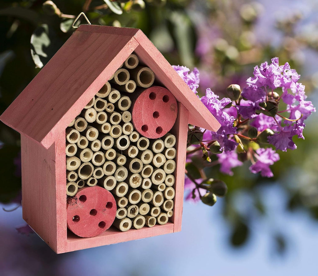 Mason Bee House Bamboo Tube Solitary Bee Hotel – 75 FSC‑Wood & Bamboo Tubes, 8 × 7.5 × 5 in, Rose Pink