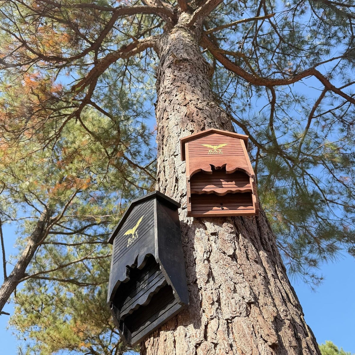 Bat House for Outdoors, 2-Chamber Pine Wood Bat Box, Preassembled, Brown