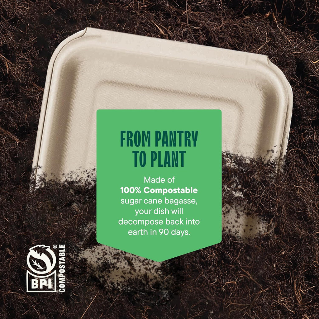 100% Compostable Clamshell Take Out Food Containers [8X8" 50-Pack] Heavy-Duty Quality to go Containers, Natural