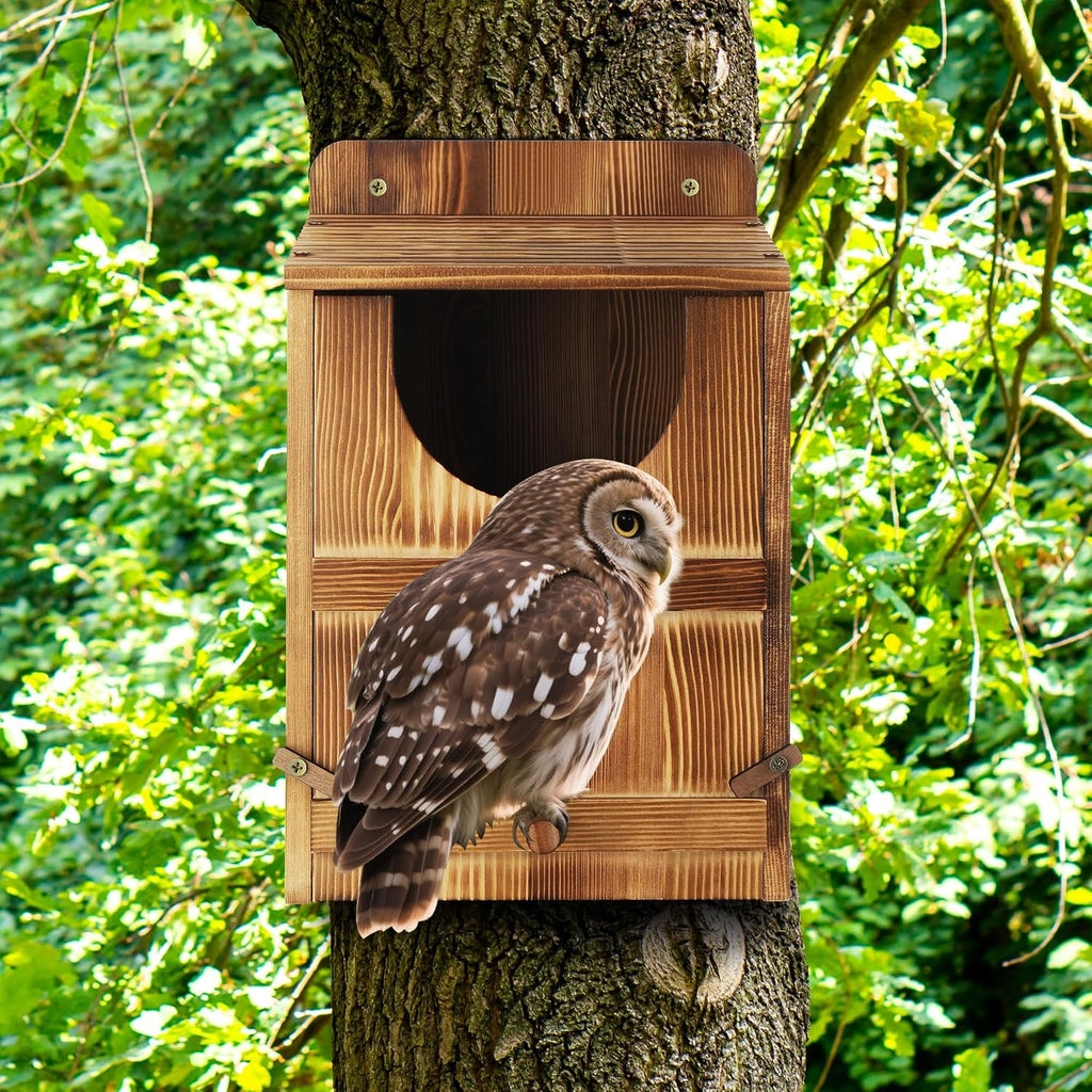 Owl House, Barn Owl Nesting Box with Bird Stand and Wood Shavings, Large Wooden Screech Nesting Box for Outside, Nest