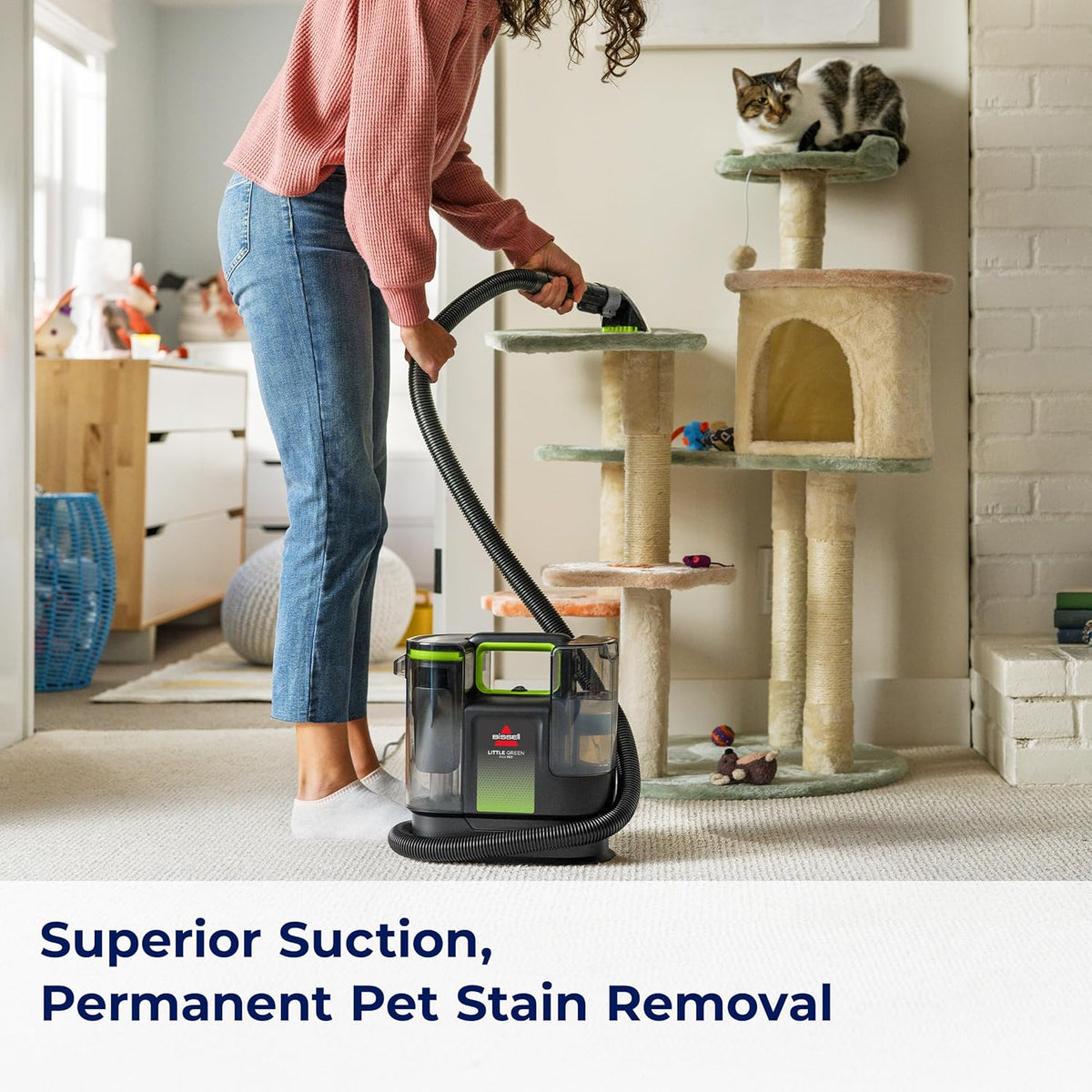 Little Green Max Pet Portable Carpet Cleaner, 3860 | Self-Cleaning Tough Stain Tool & Pet Hair Removal Tool; car/auto