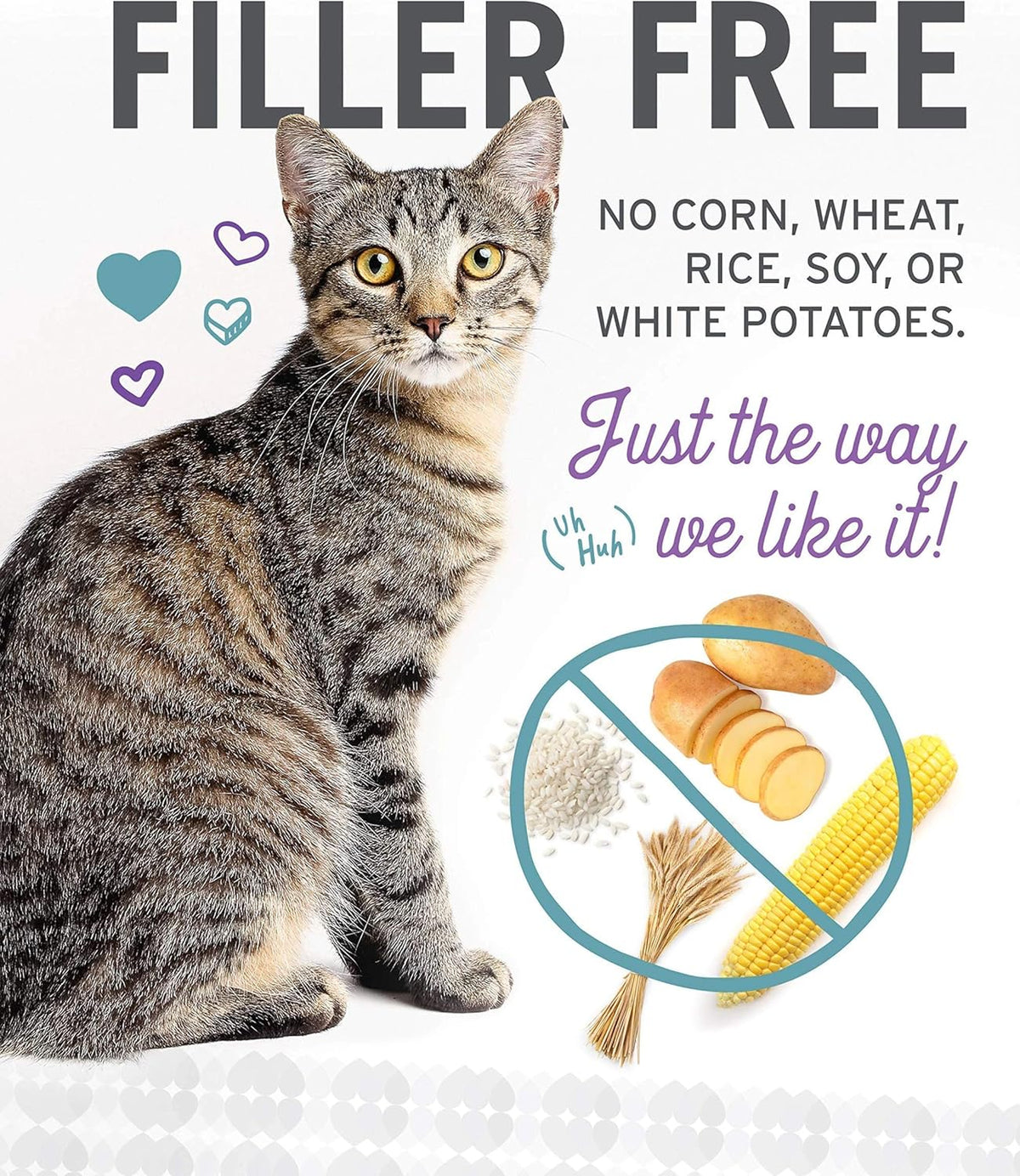 Naked Essentials Wet Cat Food Variety Pack | 12 Pack