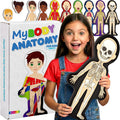 MyBODY Large Human Body Anatomy Model for Kids & Teens - Bottom-to-Top Magnetic Assembly Toy & Educational Learning