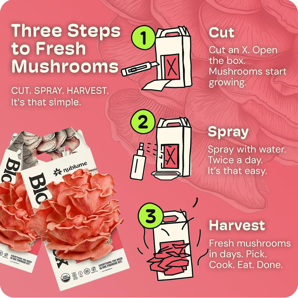 BloomBox Pink Oyster Mushroom Grow Kit – Spray & Grow – Pre-Inoculated Indoor Mushroom Farm – Beginner Friendly –
