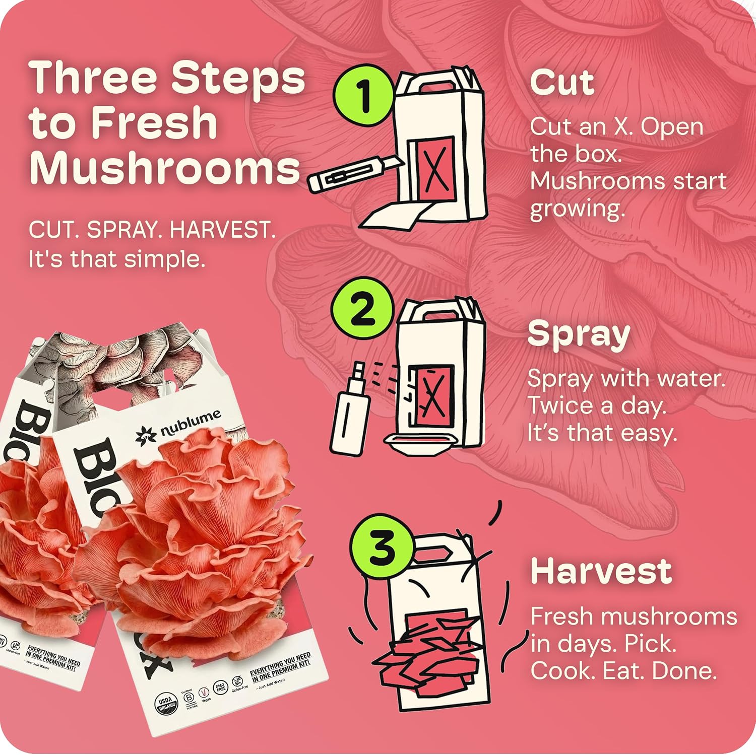 BloomBox Pink Oyster Mushroom Grow Kit – Spray & Grow – Pre-Inoculated Indoor Mushroom Farm – Beginner Friendly –