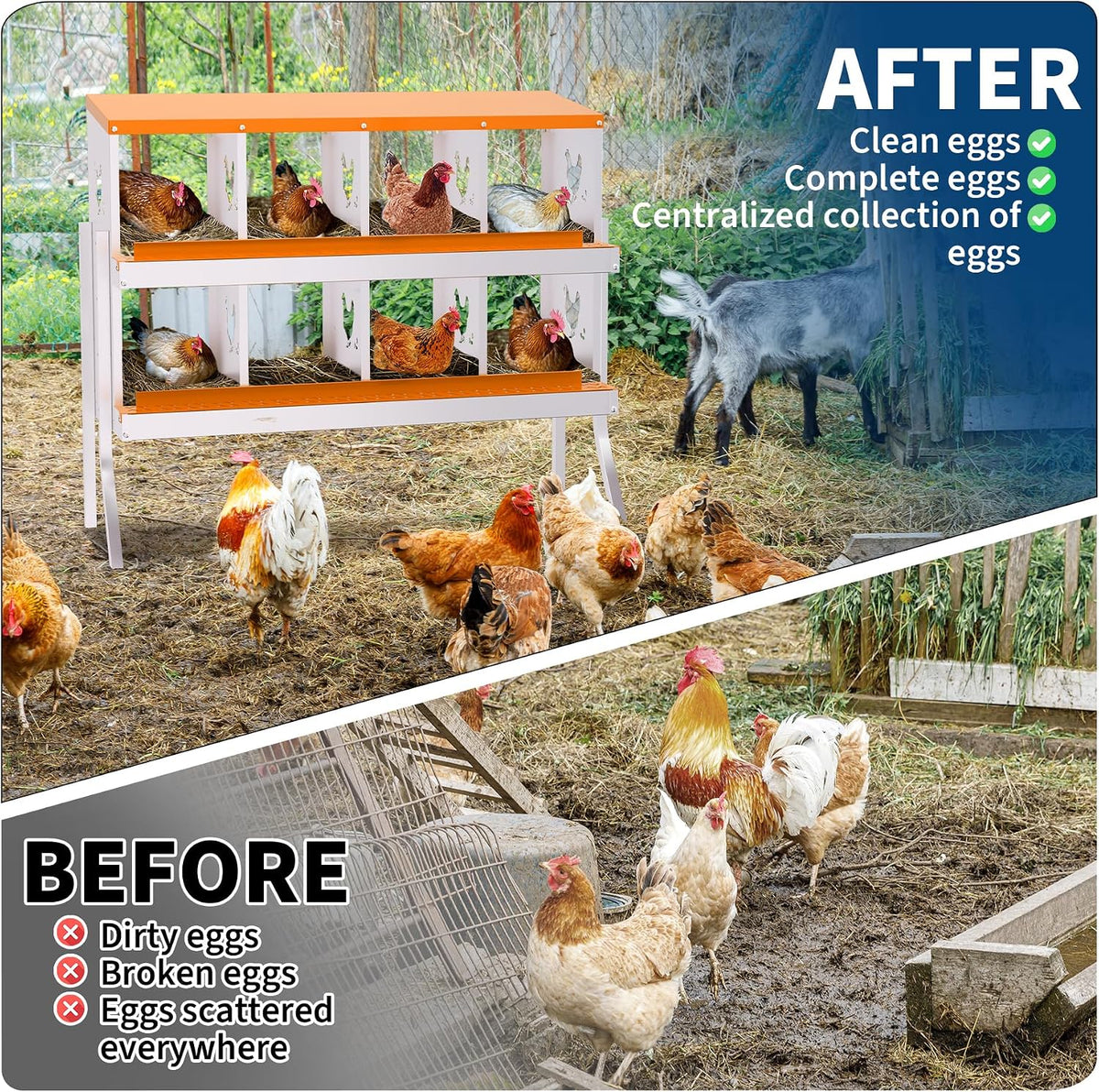 Chicken Nesting Box, 8 Compartment Nesting Boxes for Chickens, Easy to Clean and Install, Chicken Laying Boxes for